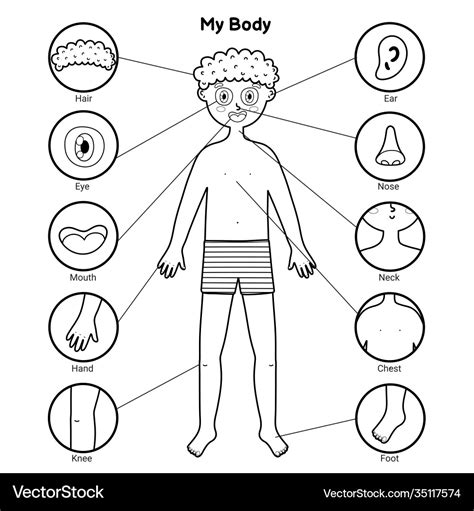 body clip art black and white